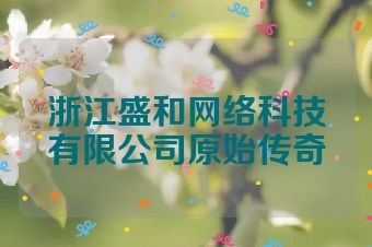 浙江盛和网络科技有限公司原始传奇
