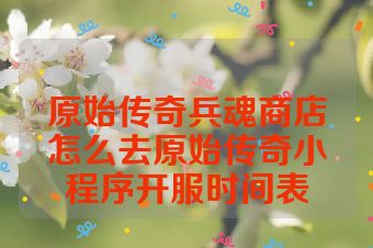 原始传奇兵魂商店怎么去原始传奇小程序开服时间表