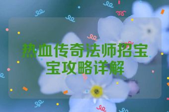 热血传奇法师招宝宝攻略详解