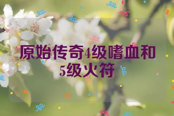 原始传奇4级嗜血和5级火符