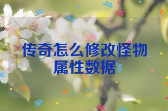 传奇怎么修改怪物属性数据
