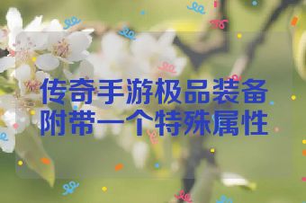 传奇手游极品装备附带一个特殊属性