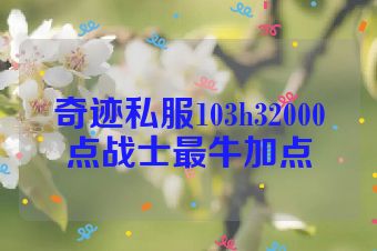 奇迹私服103h32000点战士最牛加点