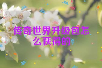 传奇世界升级包怎么获得的