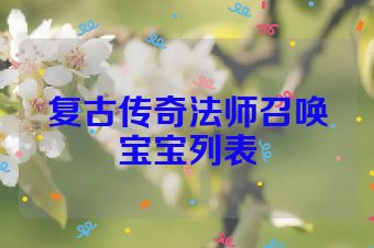 复古传奇法师召唤宝宝列表