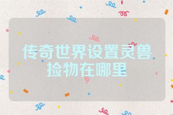 传奇世界设置灵兽捡物在哪里