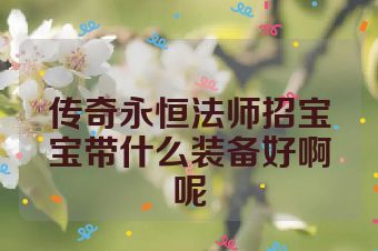 传奇永恒法师招宝宝带什么装备好啊呢