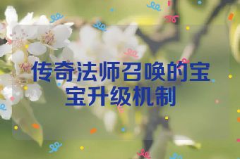 传奇法师召唤的宝宝升级机制