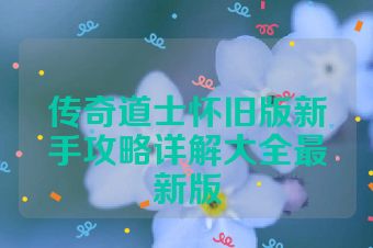 传奇道士怀旧版新手攻略详解大全最新版