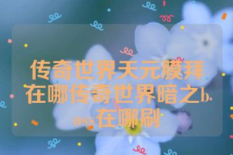 传奇世界天元膜拜在哪传奇世界暗之boss在哪刷