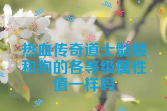 热血传奇道士骷髅和狗的各等级属性值一样吗