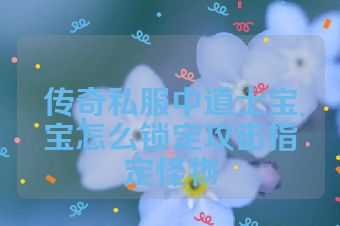 传奇私服中道士宝宝怎么锁定攻击指定怪物
