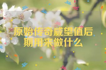 原始传奇威望值后期用来做什么