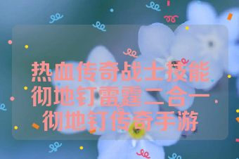 热血传奇战士技能彻地钉雷霆二合一彻地钉传奇手游