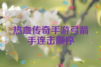 热血传奇手游弓箭手连击顺序
