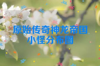 原始传奇神龙帝国小怪分布图