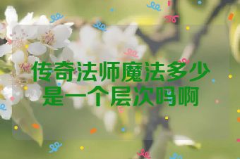 传奇法师魔法多少是一个层次吗啊