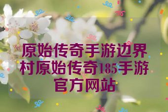 原始传奇手游边界村原始传奇185手游官方网站