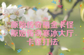 原始传奇暗金卡怪原始传奇寒冰大厅卡怪打法