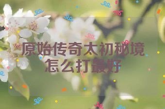 原始传奇太初秘境怎么打最好
