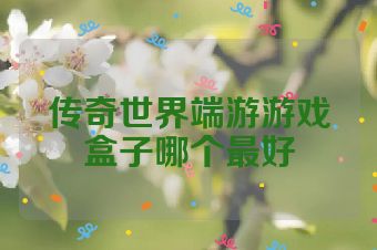 传奇世界端游游戏盒子哪个最好