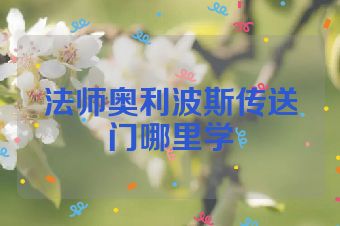 法师奥利波斯传送门哪里学