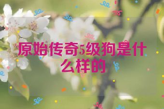 原始传奇5级狗是什么样的