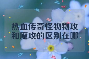 热血传奇怪物物攻和魔攻的区别在哪