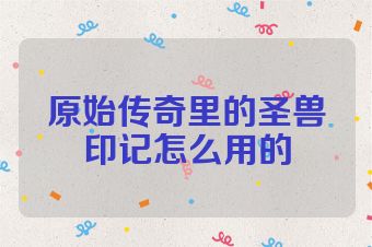 原始传奇里的圣兽印记怎么用的