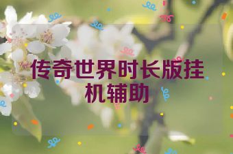 传奇世界时长版挂机辅助