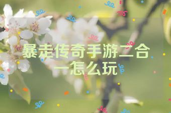 暴走传奇手游二合一怎么玩
