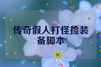 传奇假人打怪捡装备脚本