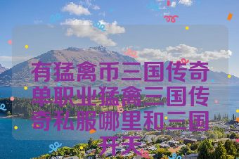 有猛禽币三国传奇单职业猛禽三国传奇私服哪里和三国开天