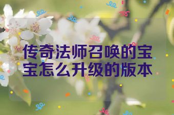 传奇法师召唤的宝宝怎么升级的版本