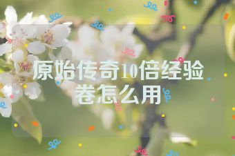 原始传奇10倍经验卷怎么用