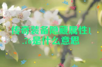 传奇装备隐藏属性1.76是什么意思