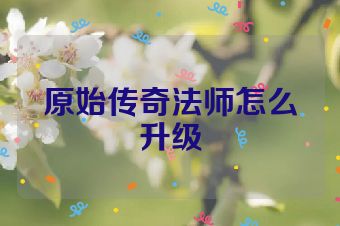 原始传奇法师怎么升级