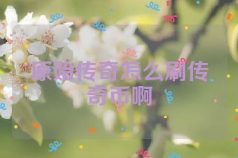 原始传奇怎么刷传奇币啊