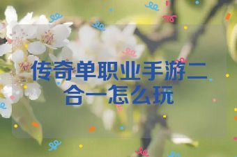 传奇单职业手游二合一怎么玩