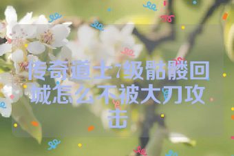 传奇道士7级骷髅回城怎么不被大刀攻击