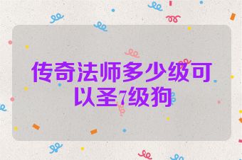 传奇法师多少级可以圣7级狗
