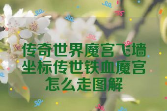 传奇世界魔宫飞墙坐标传世铁血魔宫怎么走图解
