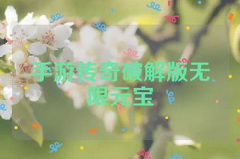 手游传奇破解版无限元宝