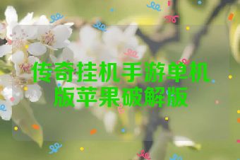 传奇挂机手游单机版苹果破解版