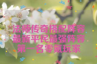 法师传奇搭配阵容最新平民最强阵容第一名零氪玩家