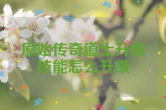 原始传奇道士升级技能怎么升级