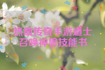 热血传奇手游道士召唤神兽技能书