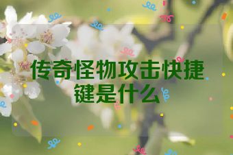 传奇怪物攻击快捷键是什么