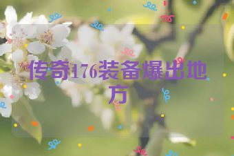 传奇176装备爆出地方