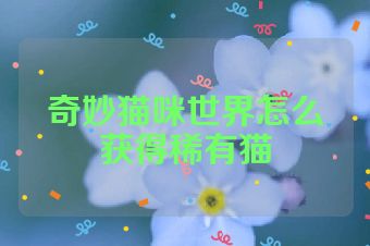 奇妙猫咪世界怎么获得稀有猫